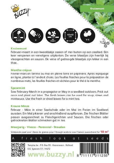Munt (Kruizemunt) - Zaden
