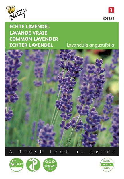 Echte Lavendel - Zaden