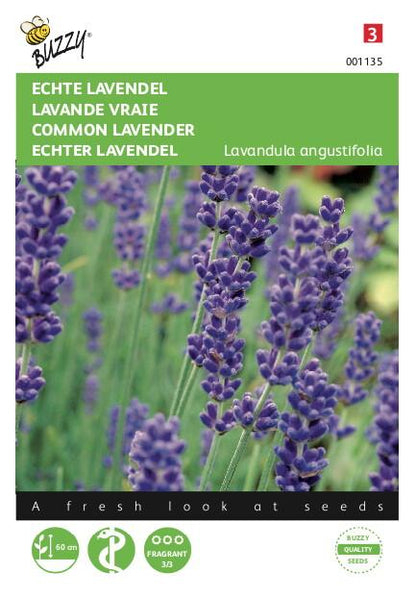 Echte Lavendel - Zaden