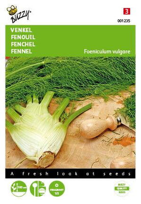 Fenchel von Florenz