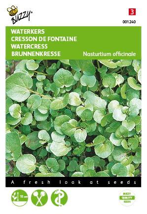 Waterkers - Zaden