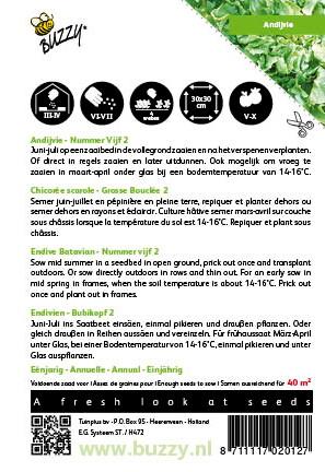 Endivie Nummer Fünf - Samen