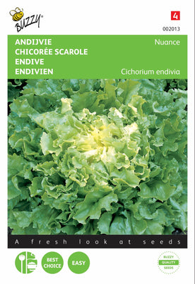 Endiviennuance