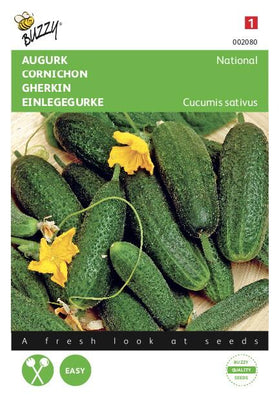 Pickle National, Small Green