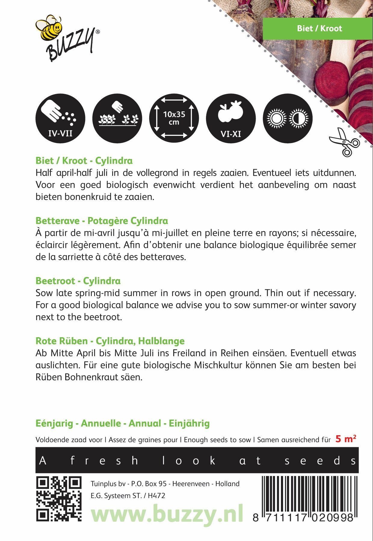 Biet / Kroot Cylindra - Zaden