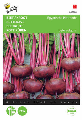 Rote Bete / Kroot Ägyptische Flachbrötchen