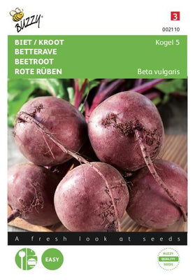 Beet / Kroot Kogel 5, Lok