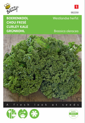 Grünkohl Westland Herbst