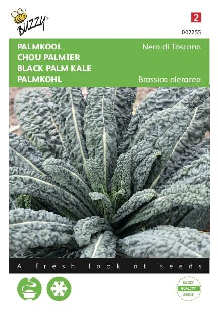 Palmkohl Nero di Toscana - Samen
