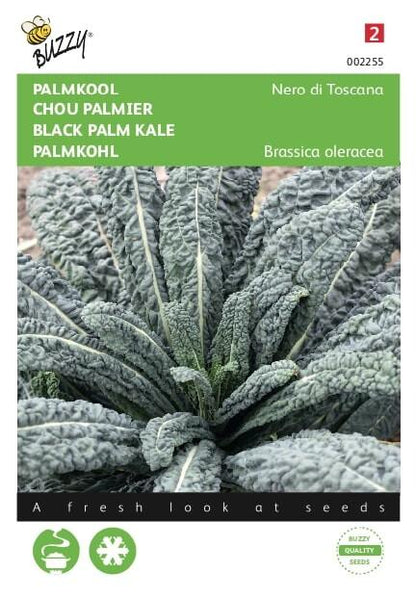 Palmkohl Nero di Toscana - Samen