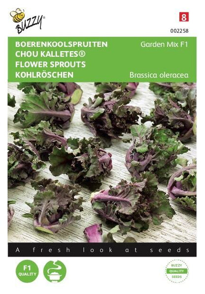 Boerenkoolspruitjes, Kalettes® Garden Mix F1 - Samen