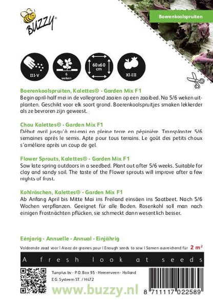 Boerenkoolspruitjes, Kalettes® Garden Mix F1 - Samen