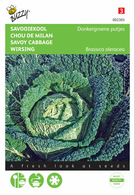 Wirsingkohl, dunkelgrüne Kerne