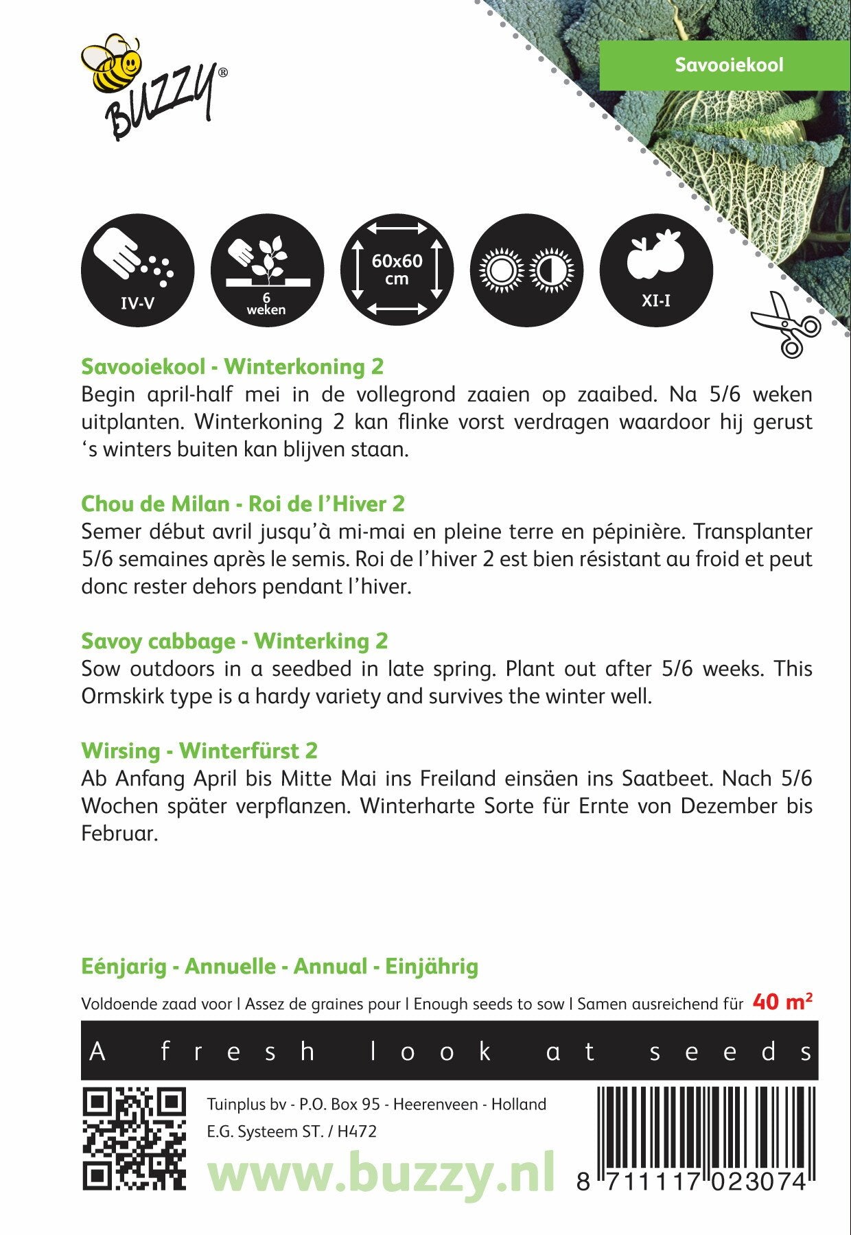 Savooiekool Winterkoning 2 - Zaden