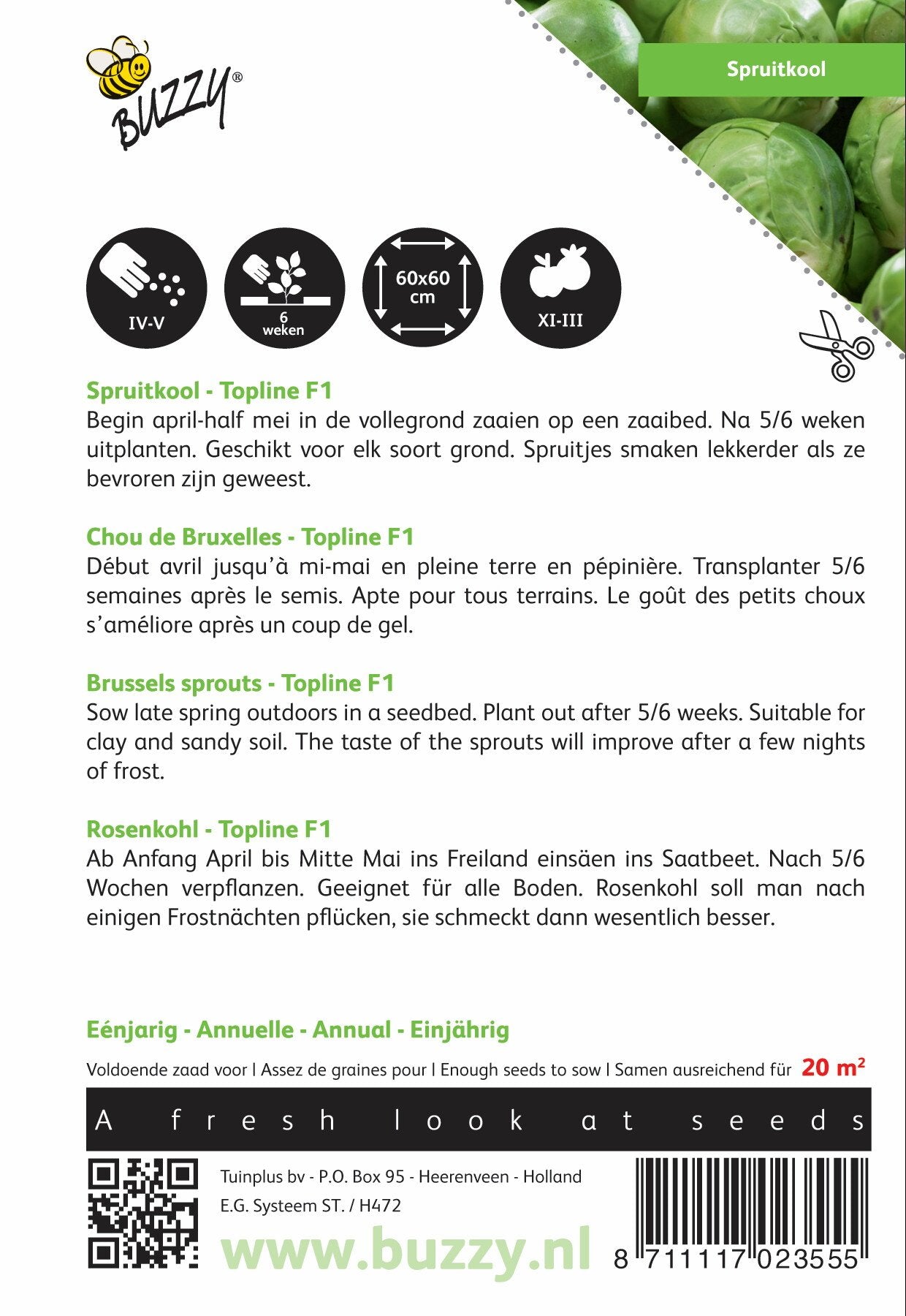 Spruitkool Topline F1 - Zaden