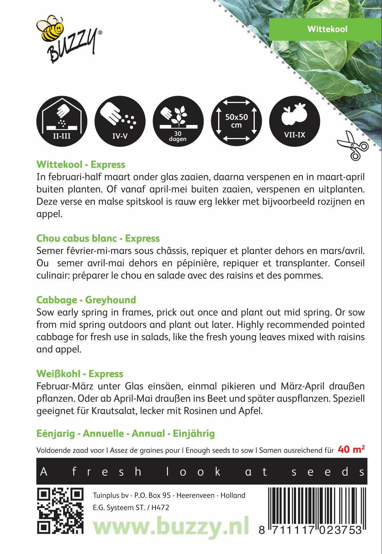 Weißkohl Express - Samen