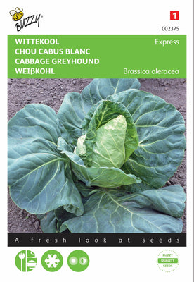 Weißkohl-Express