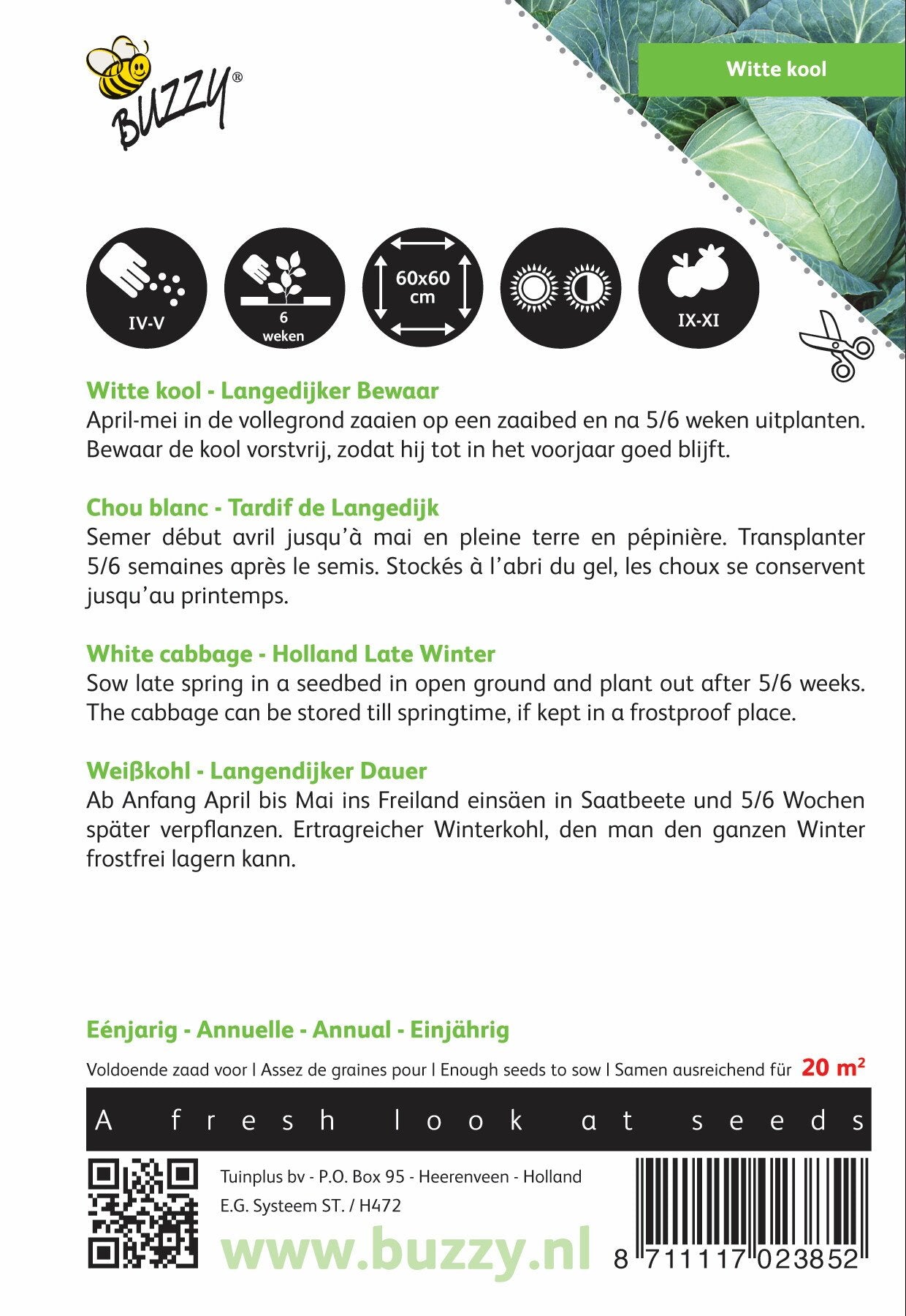 Weißkohl Langedijker Bewaar - Samen