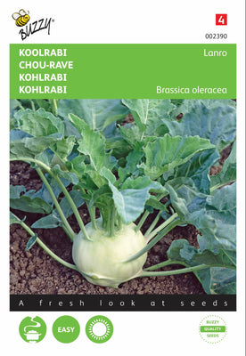 Kohlrabi Lanro