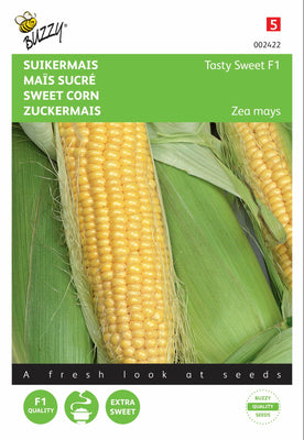 Süßmais, lecker, süß, F1