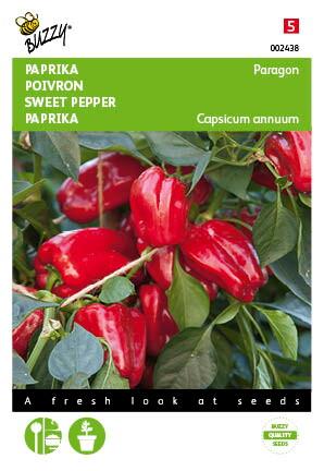 Paprika Snack Patio - rot - Paragon - Samen