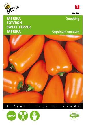 Paprika Snacking mini Orange Naranja - Samen