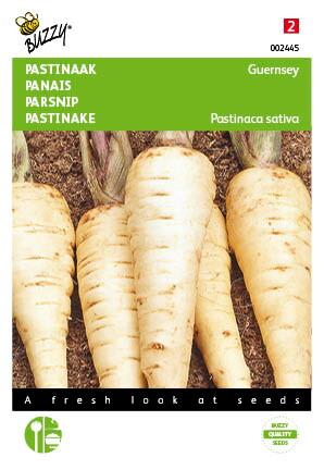 Pastinake Demi-Long De Guernsey - Samen