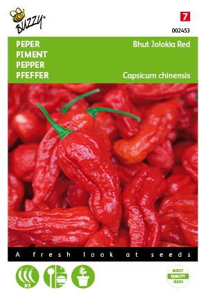 Peper Bhut Jolokia Rot - Samen