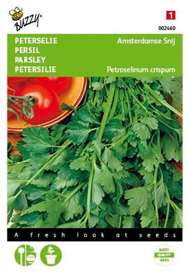 Petersilie Amsterdam Schnitt