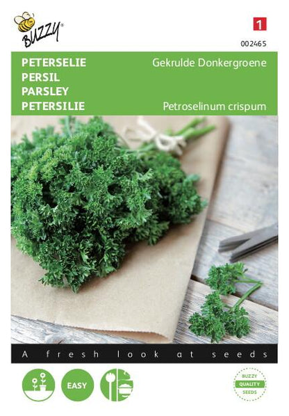 Petersilie Krause Dunkelgrüne - Samen
