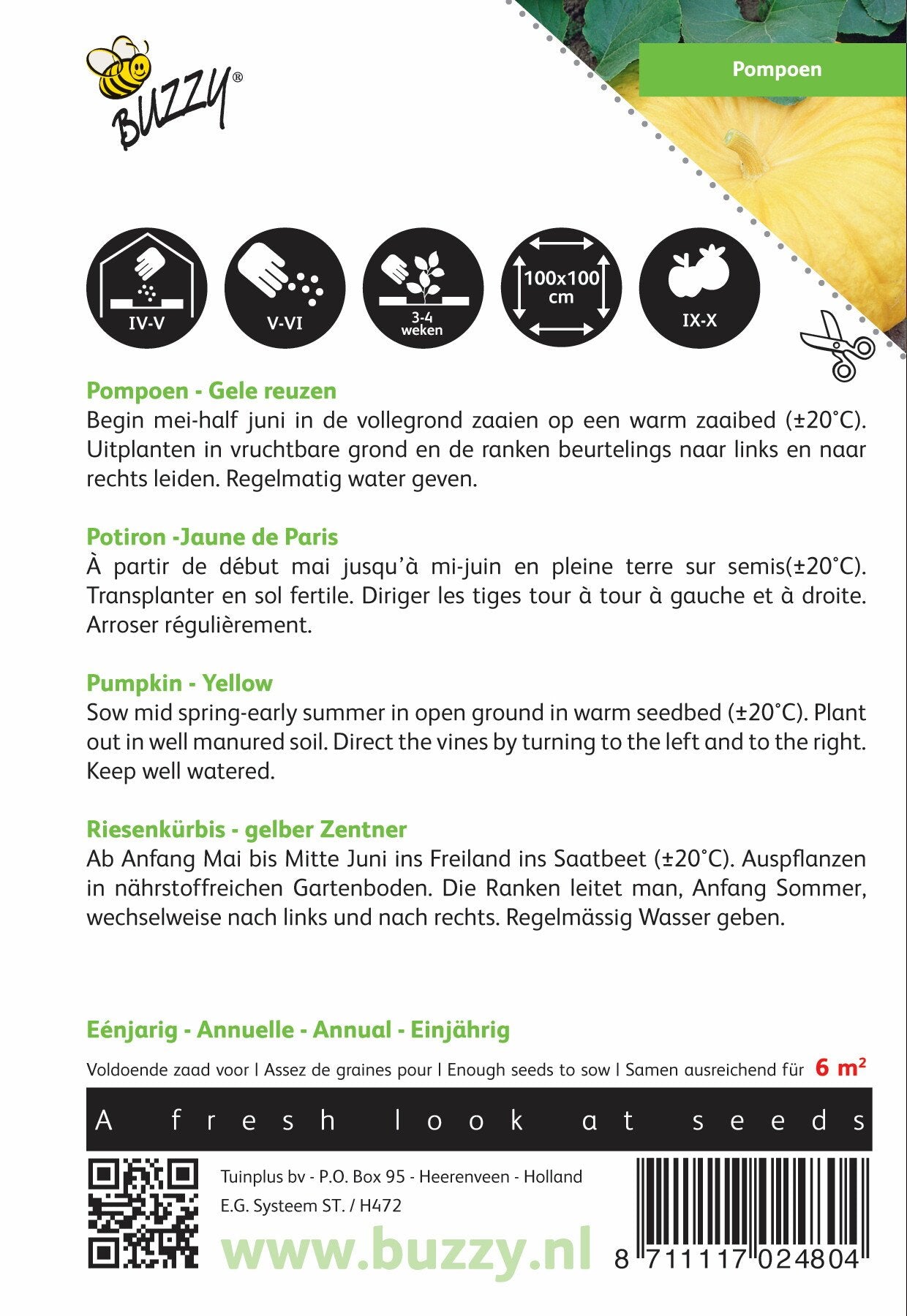 Pompoen Gele Reuzen - Zaden