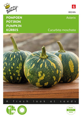 Kürbis-Asterix (Panther-Print)