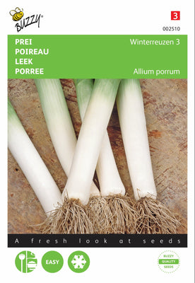 Lauch-Winterriesen 3