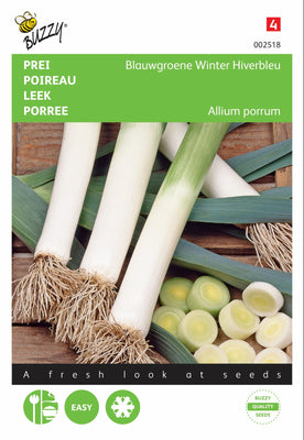 Lauchblaugrün Winter, Hiverbleu