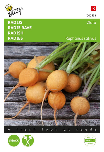 Radijs Zlata, gele - Zaden