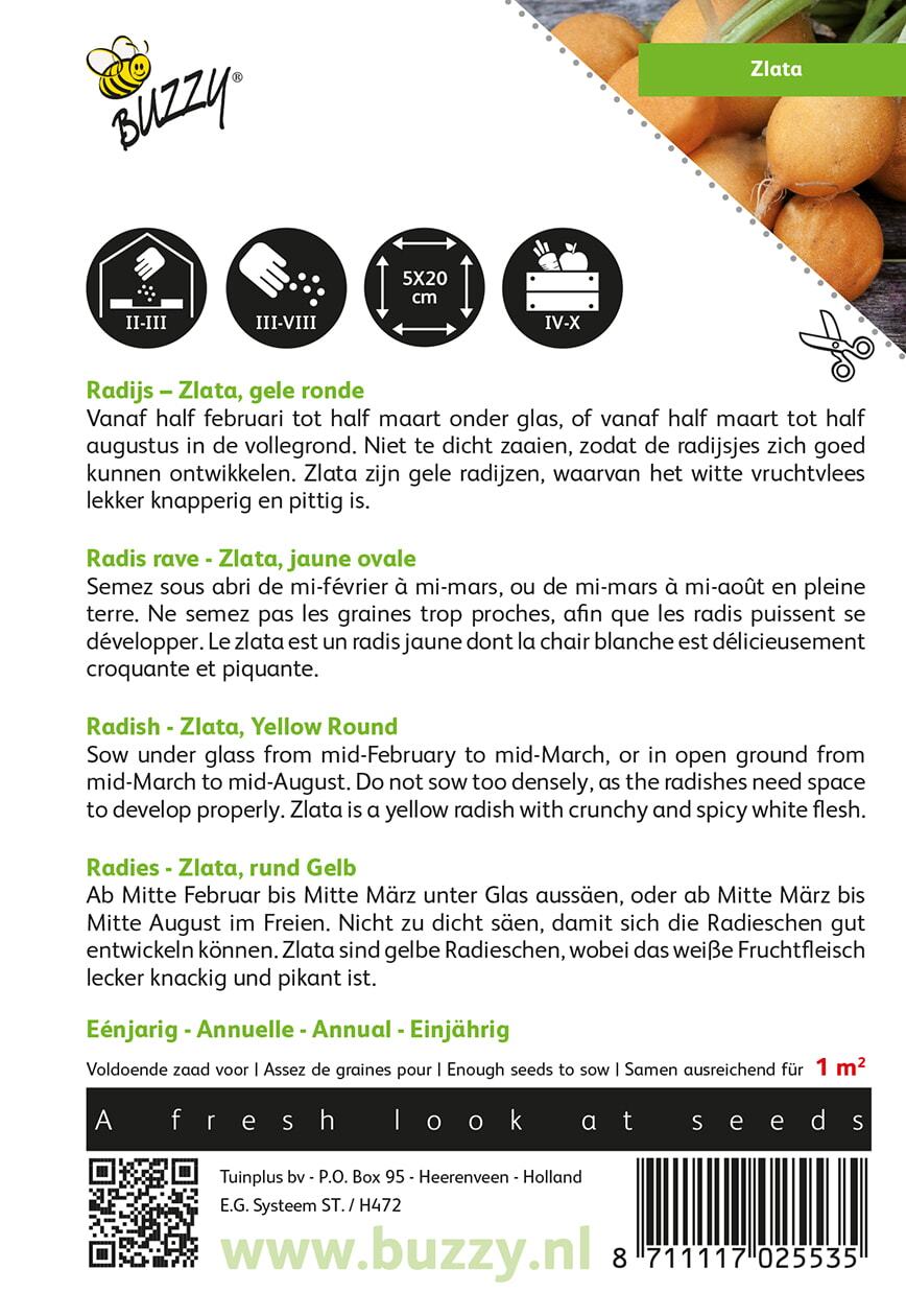 Radijs Zlata, gele - Zaden