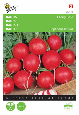 Radieschen-Kirsch-Schönheit