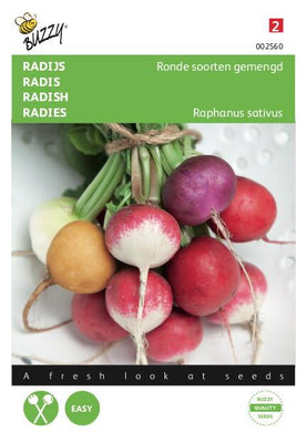 Radieschen-Rundsorten gemischt