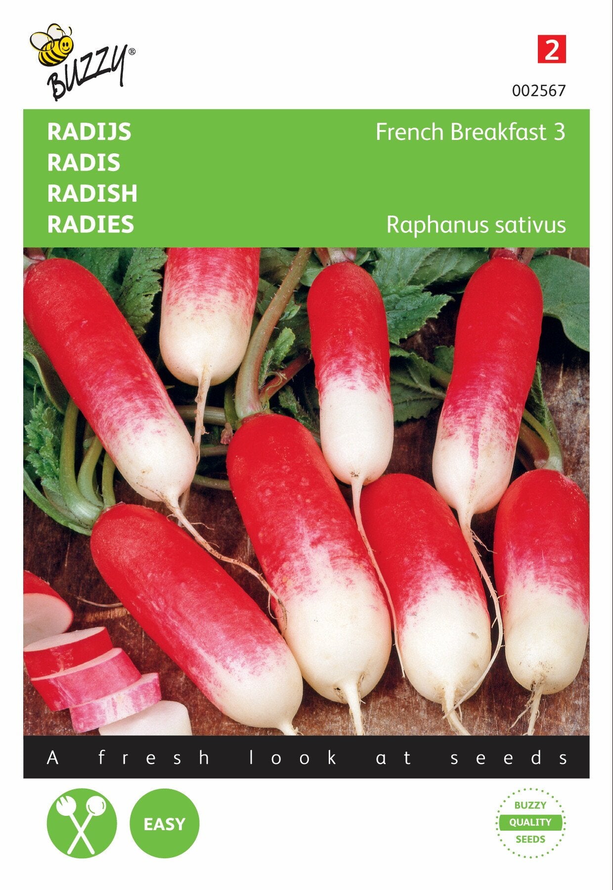 Radieschen French Breakfast 3 - Samen