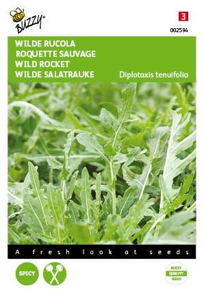 Rucola Selvatica - Samen