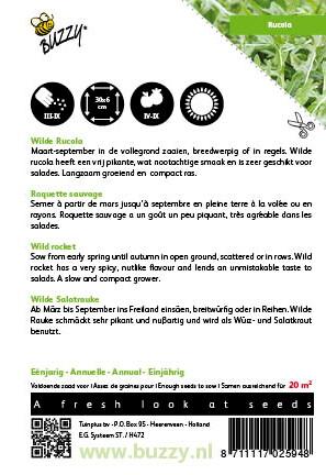 Rucola Selvatica - Samen