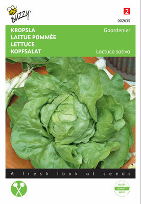 Lettuce Gaardenier, sehr späte Schießerei