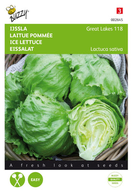 Eisbergsalat Große Seen 118