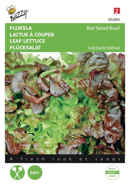 Pluksla Red Salad Bowl, Roter Eichblattsalat - Samen