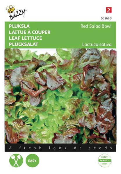 Pluksla Red Salad Bowl, Roter Eichblattsalat - Samen