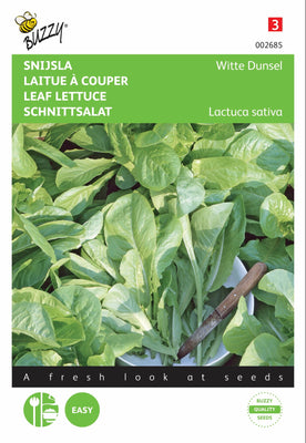 Weißer Dunsel-Schnittsalat