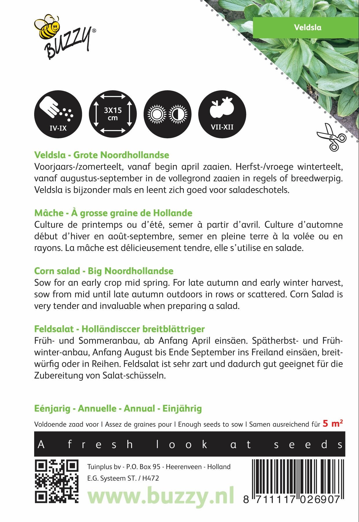 Veldsla Grote Noordhollandse - Zaden