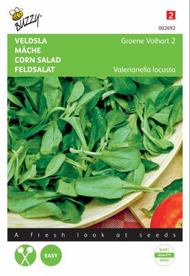 Feldsalat Green Volhart 2
