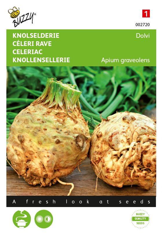 Knollensellerie Dolv - Samen