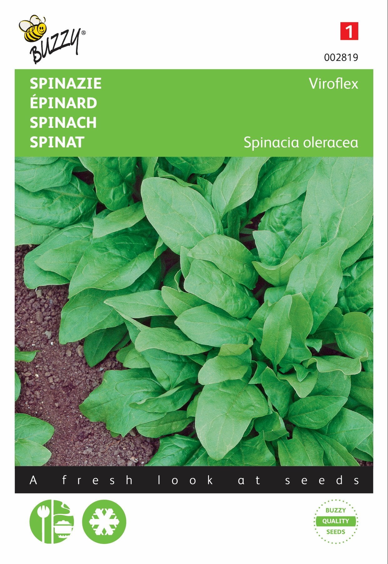Spinat Winterreuzen, 25g - Samen